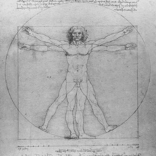 레오나르도 다빈치의 명작, 인체 비례도는 어떻게 탄생했는가.
