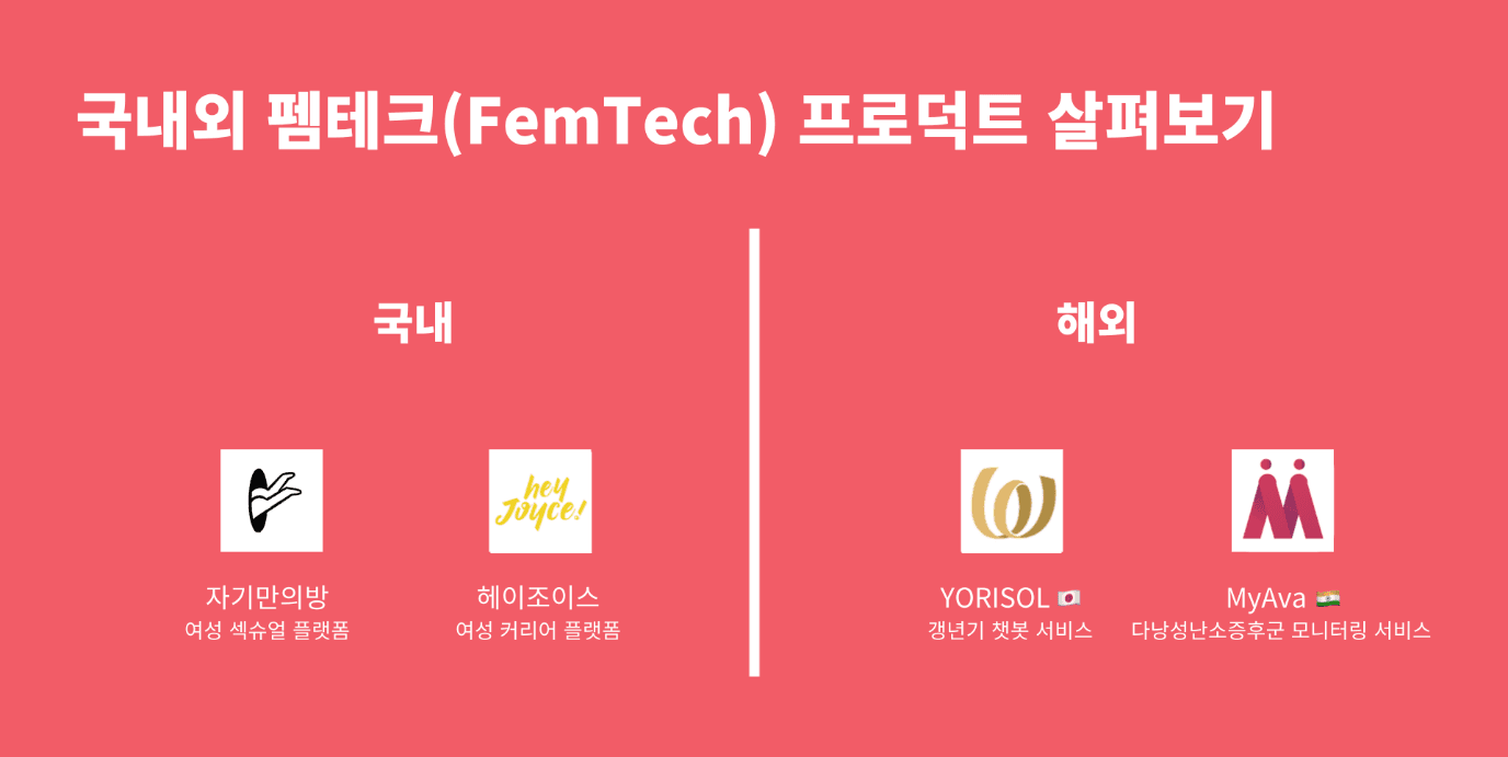 국내외 펨테크(FemTech) 프로덕트 살펴보기