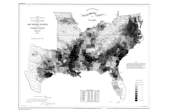 남부 노예 인구 분포