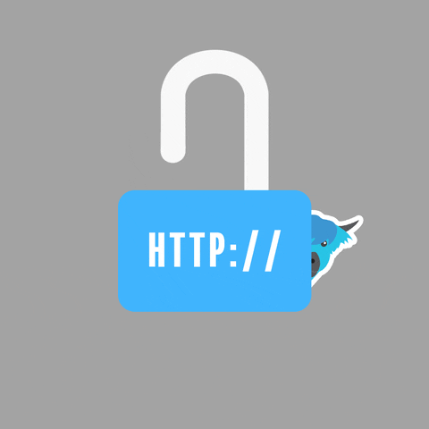 HTTP 보안 강화