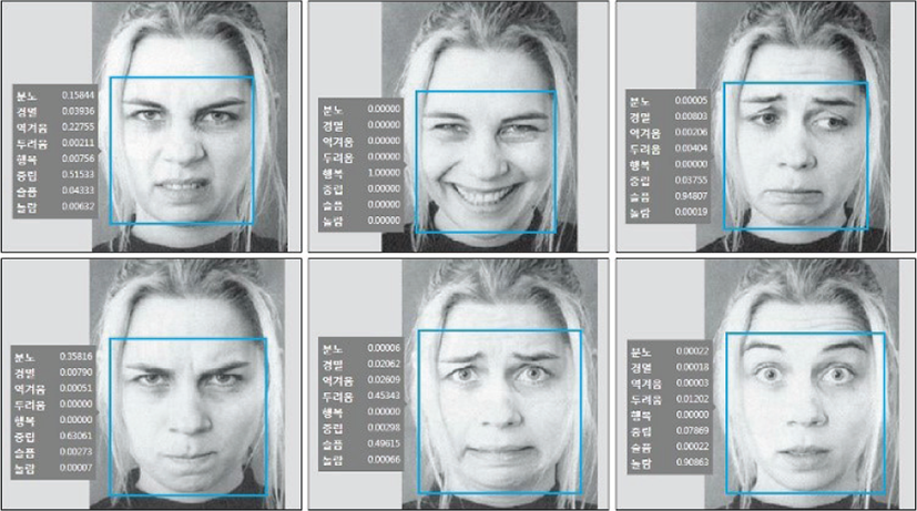 표정 변화에 따른 감정 분석 예시