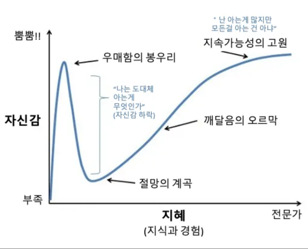주니어 개발자의 흔한 실수: 알고 있다는 착각