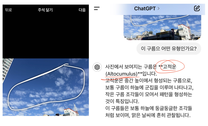인공지능 서비스에서 일상의 쓸모 발견하기
